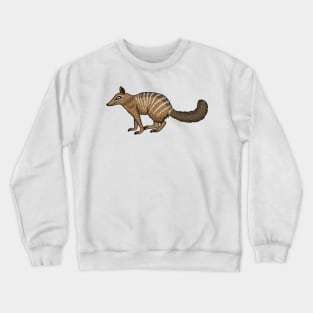 Cute happy numbat cartoon illustration Crewneck Sweatshirt